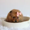 Matilda - Available Now