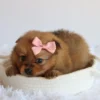 Matilda - Available Now