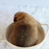 Matilda - Available Now