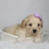 Payton