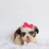 Becky - Available Now