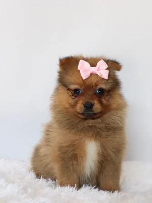 Matilda - Available Now