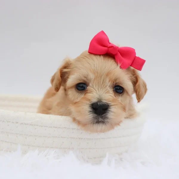 Millie