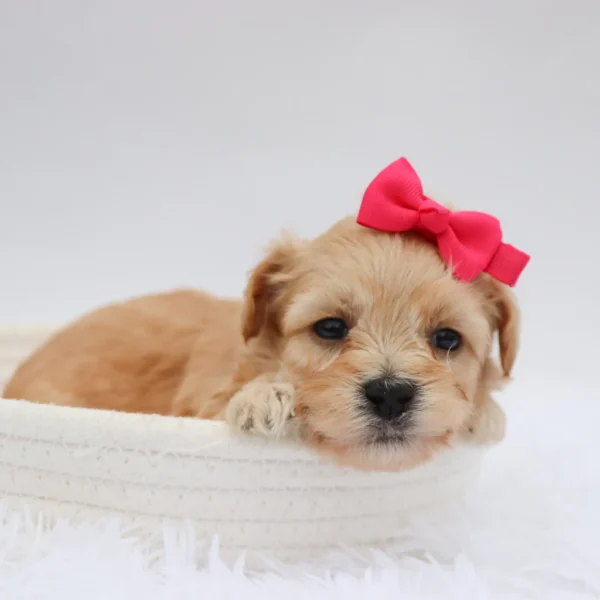 Millie