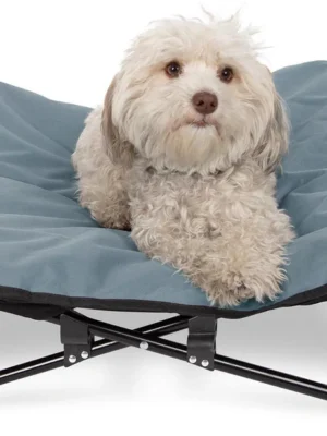 Elevated Dog Bed