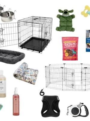 The Fairy Tail Puppy Starter Kit