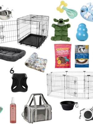 The Happily Ever After Puppy Starter Kit